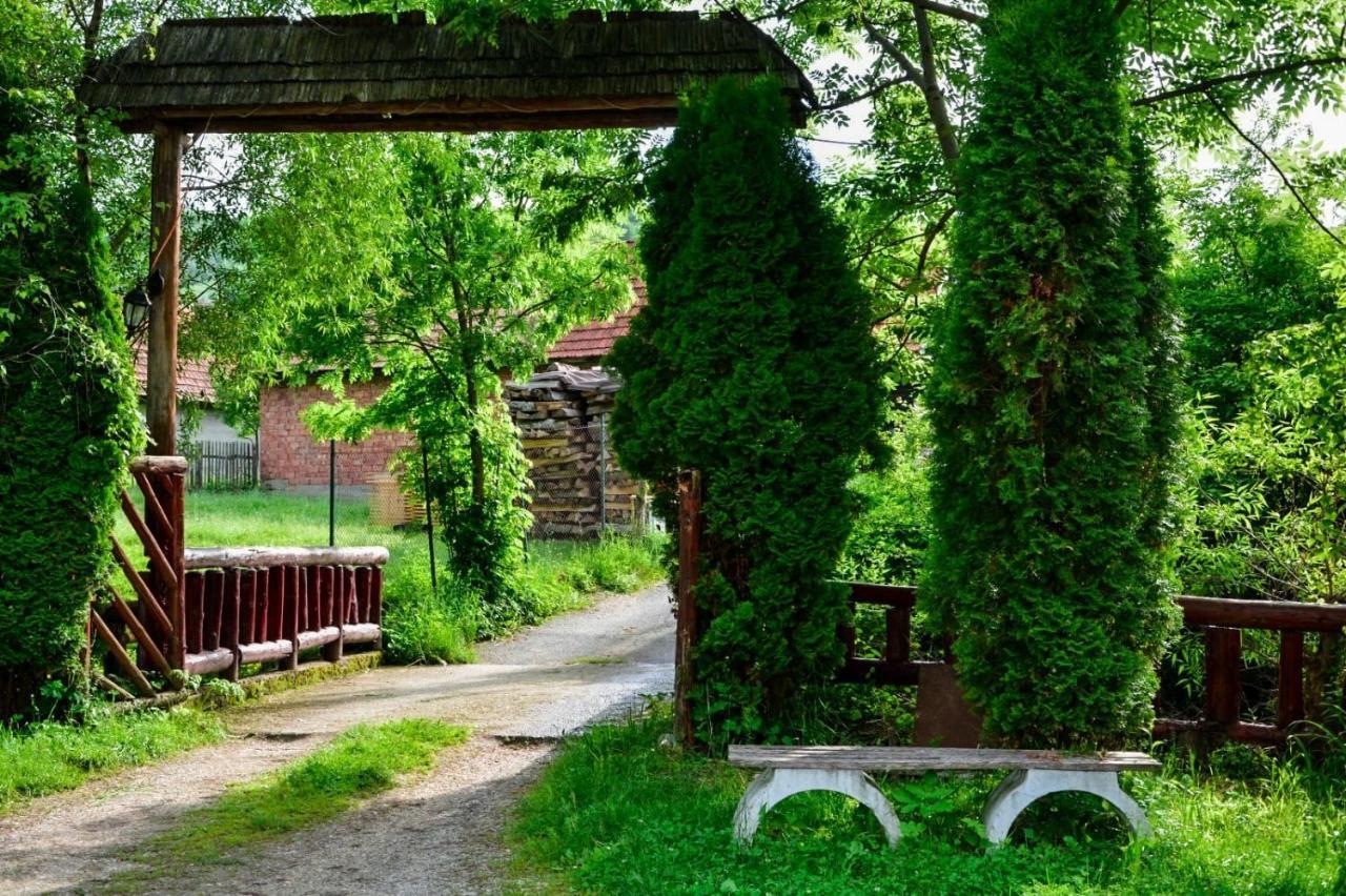 La Papi Bran (Brasov) Exterior foto